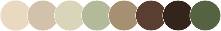 Neutral dress-code palette: champagne, cream, sage, taupe, brown, espresso, and olive tones